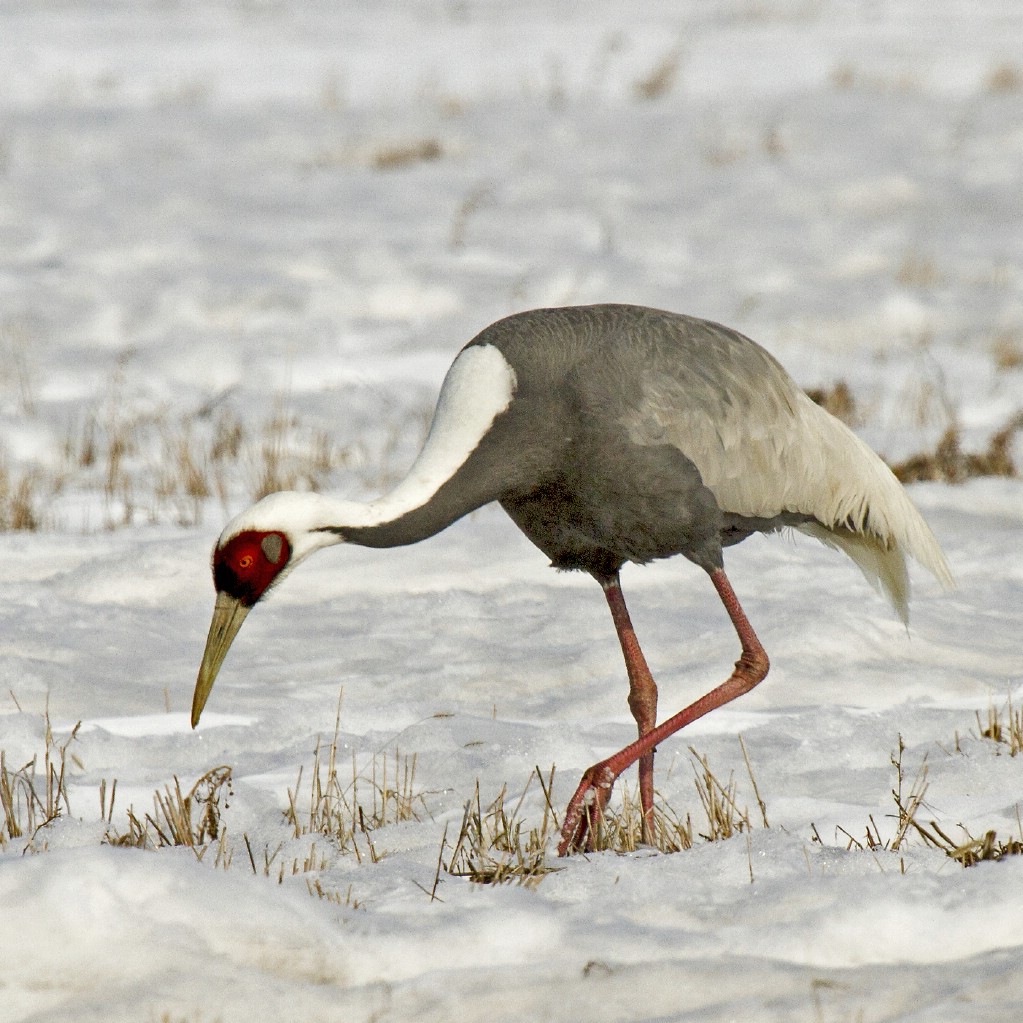 ����� ���� ����� 2013 ���� (11 ������). �.�. ��������