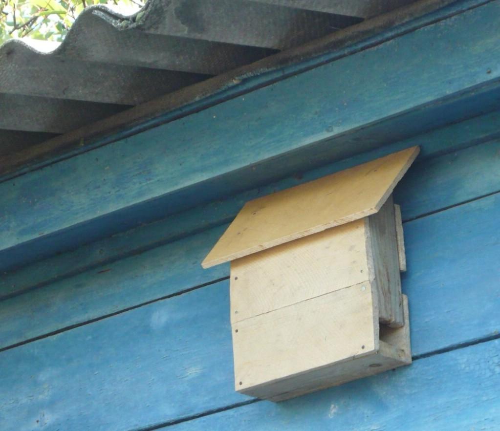 ����� � ����-������� � ���� ������ ��������               