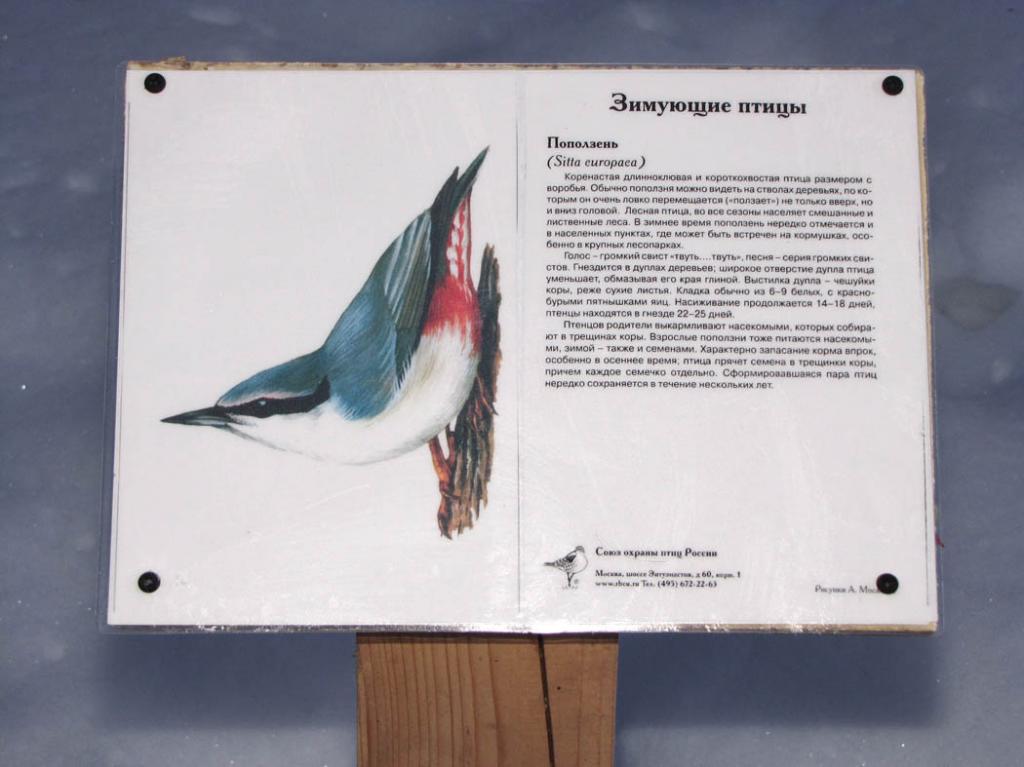 �������� ��������