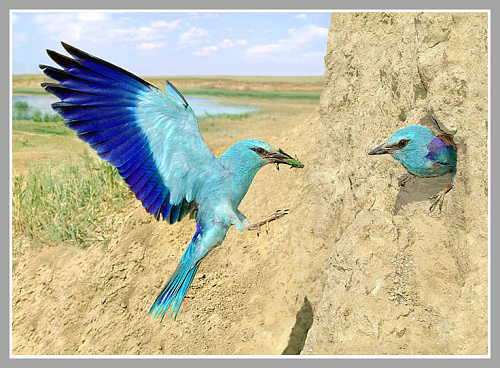 ����� ����� �����������